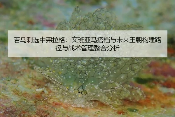 若马刺选中弗拉格：文班亚马搭档与未来王朝构建路径与战术管理整合分析