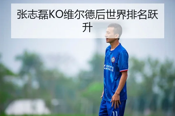 张志磊KO维尔德后世界排名跃升